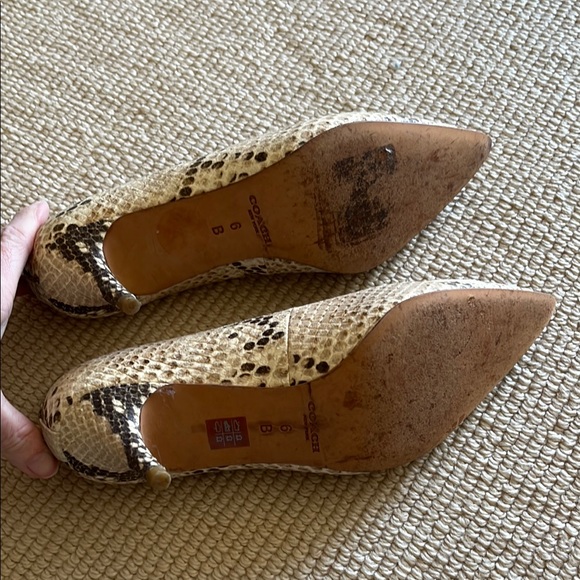Coach Women's Snakeskin Pumps - Brown - Picture 4 of 4